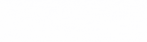 Pensar Valuation logo