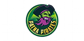 patna pirates logo