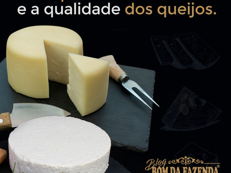Saiba como manter os queijos sempre saborosos e com qualidade!