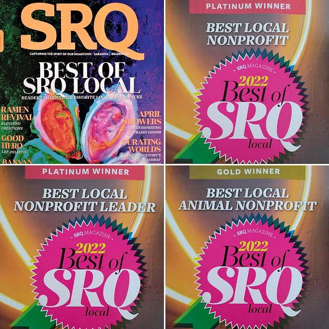 best srq.png