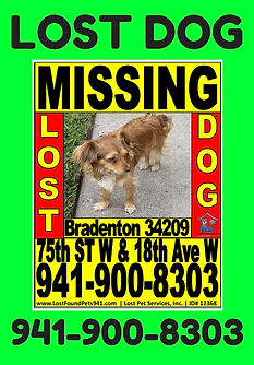 street sign dogs for website.jpg