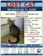 Have you seen Gata?