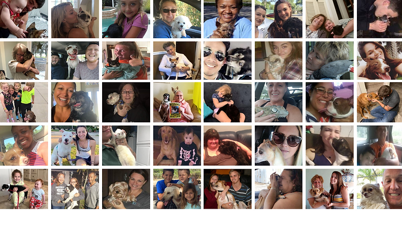 collage of home safe.png