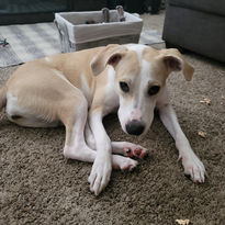 ellie mae stoner.jpg