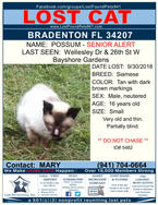 Have you seen Possum?