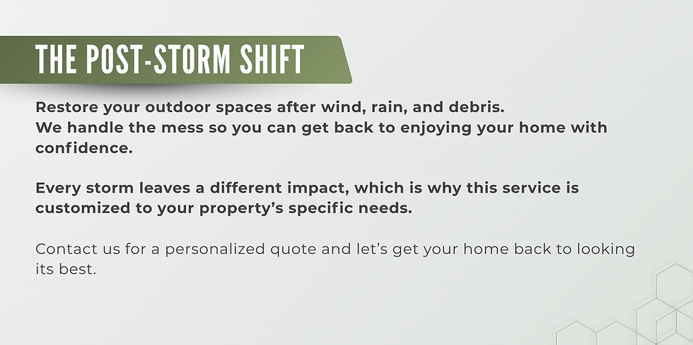 THE POST-STORM SHIFT