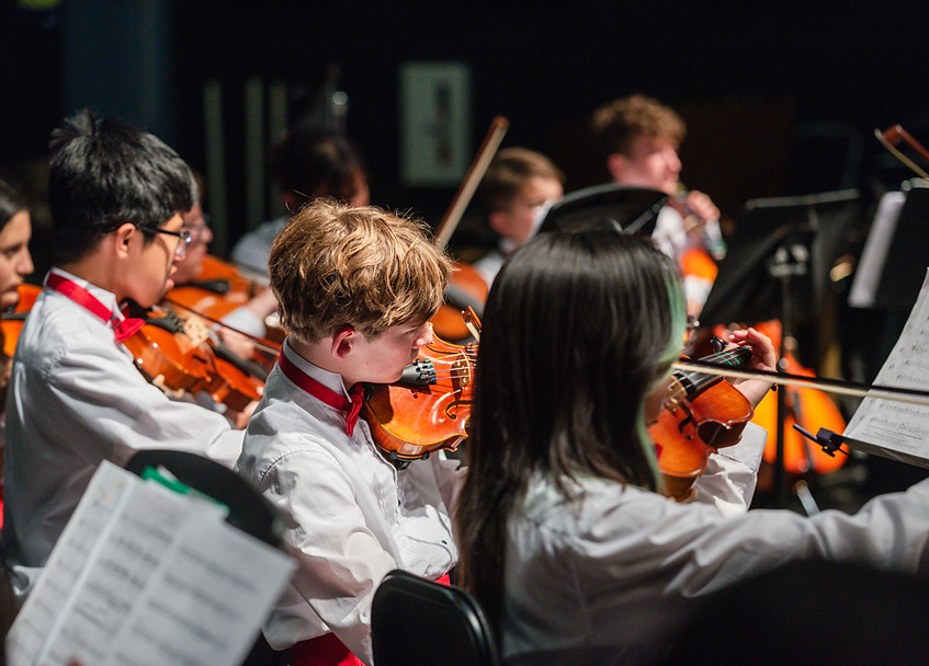 Orchestra - PreFestival Concert (15).jpg