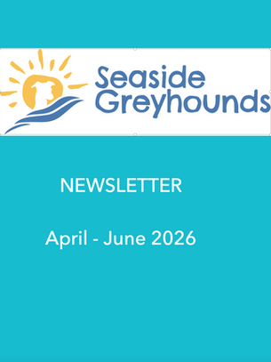 Seaside Greyhounds Newsletter - April - June 2026