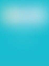 Seaside Greyhounds Newsletter Jan- Mar 26