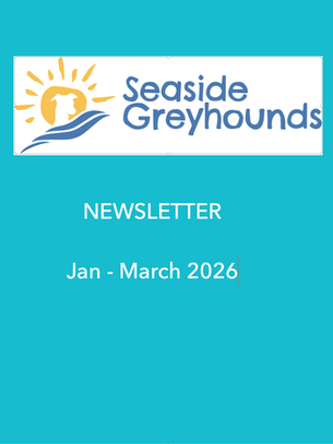 Seaside Greyhounds Newsletter Jan- Mar 26