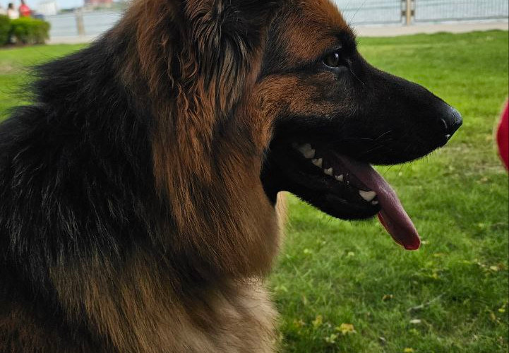 Watching all the people passing by on the Detroit River walk while we sit and eat with the kids! Solid work sir!