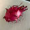 Thumbnail: Red/Red Dragon Fruit