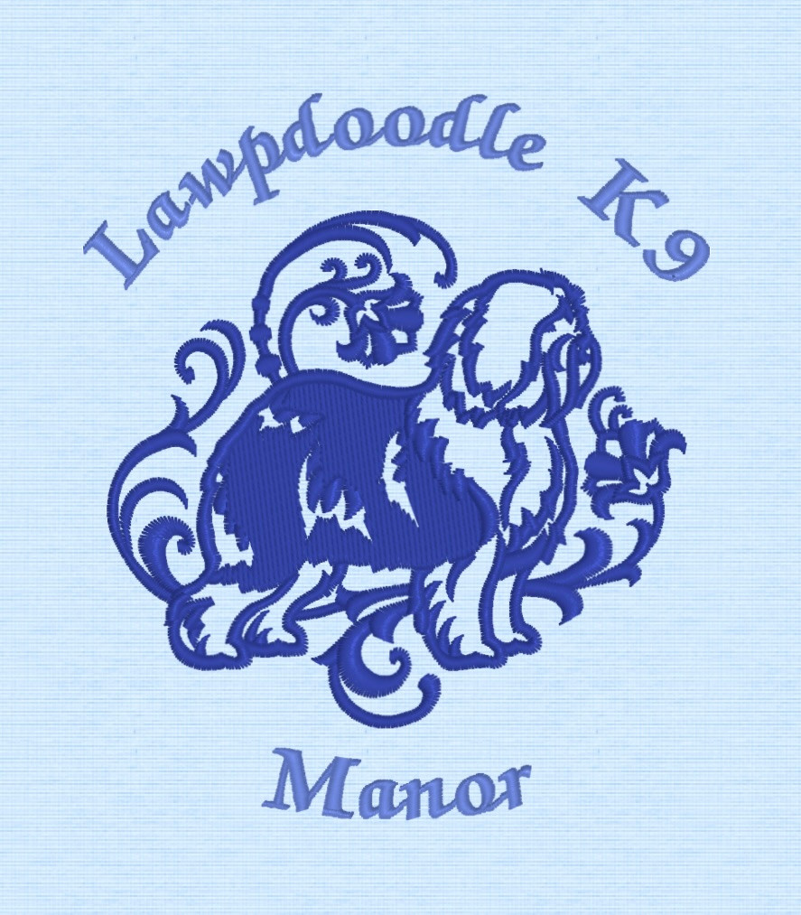 Manor lake doodles new arrivals