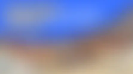 Exploring Plant and Machinery Finance