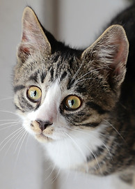 voor nusta_edited.jpg