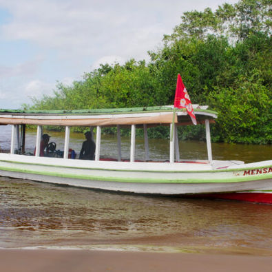 Passeio gratuito de barco percorre a APA da Fazendinha durante as férias