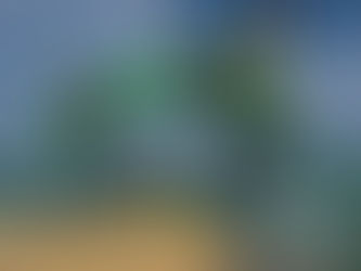 Selvinha volta a funcionar no Parque Meio do Mundo: confira horários