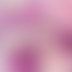 Comparison is the Thief of Joy