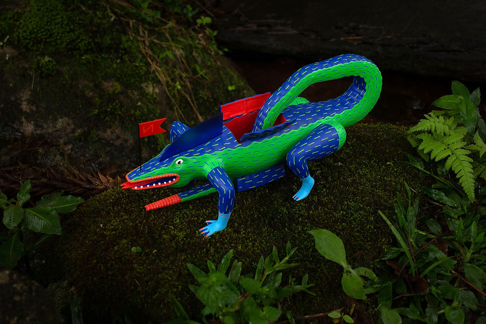 Miniatura: REX BRASILIS
