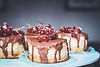 Tortas De Chocolate De Craneberries