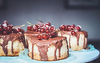 Cranberries Schokoladenkuchen