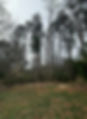 IMG_9244.jpeg