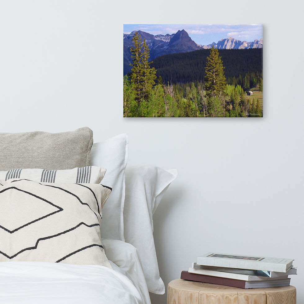Thumbnail: Isolated Colorado Cabin photo on Canvas