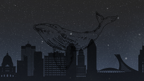 Of Whales and Swings, and Distant Travels ( « Où les baleines naissent » )