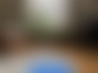 Capítulo 45: Alquilar en Zürich, parte 2