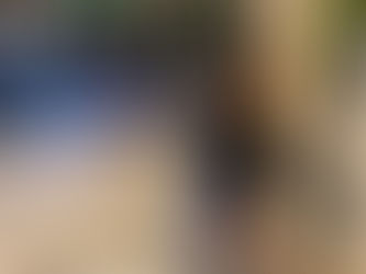 Capítulo 26: ¿Conocer a alguien?¿Ahora?