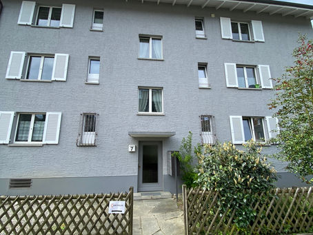 Capítulo 46: ¡Lo logramos, tenemos casa!