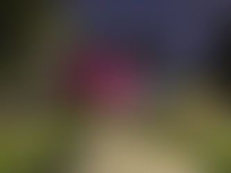 Capítulo 31: Mudanza y un nuevo comienzo