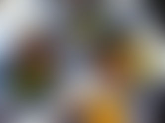 Capítulo 33: Encontrar cómo sanar