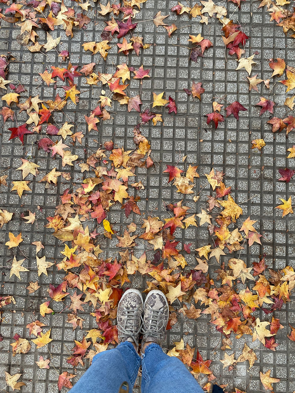 Capítulo 40: Despedir Argentina nunca es fácil