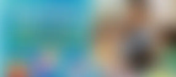 Spanish Immersion Preschool