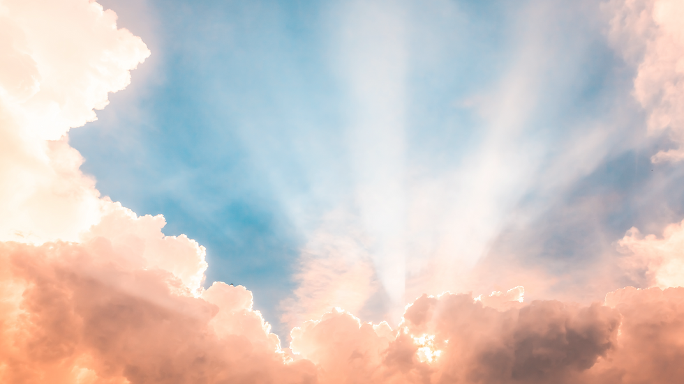 Website Backgrounds.png