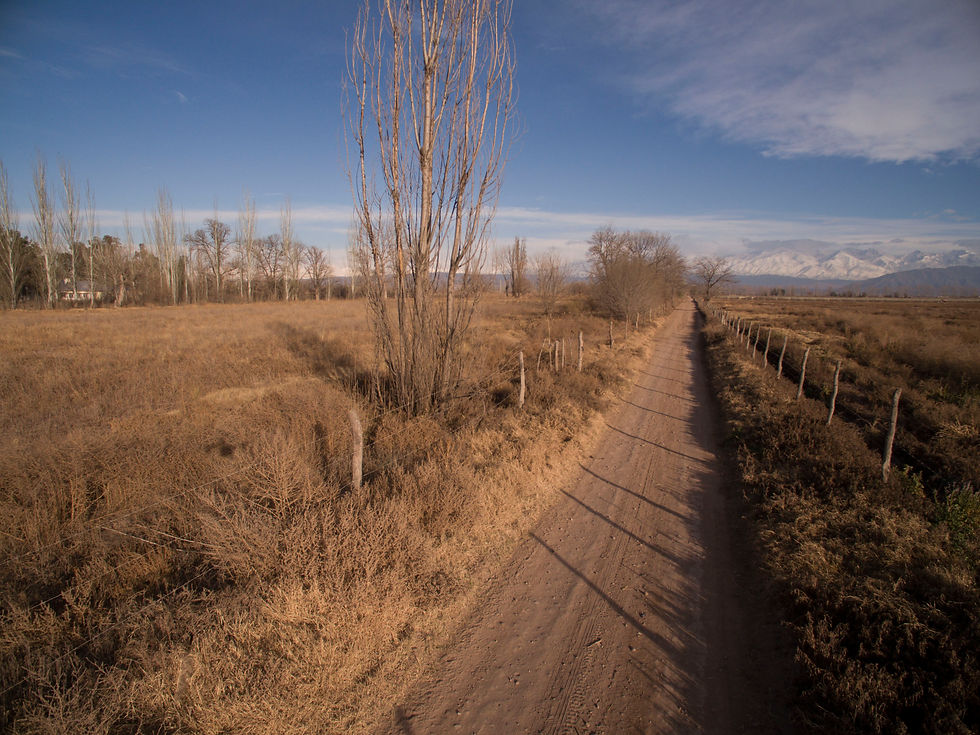 SALIDAS INDEPENDIENTES