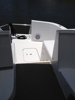 10" SUB LOOKS TINY ON A 100'ER