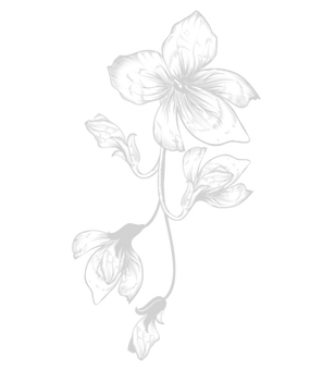 7-01_edited.png