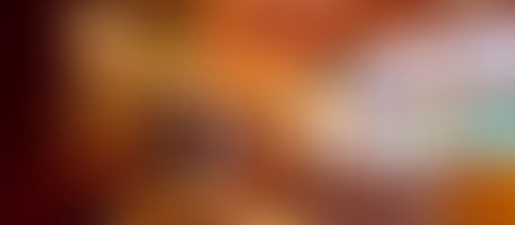 SoWN News 25 November 2025