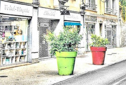 Librairie généraliste POINT VIRGULE - AURILLAC
