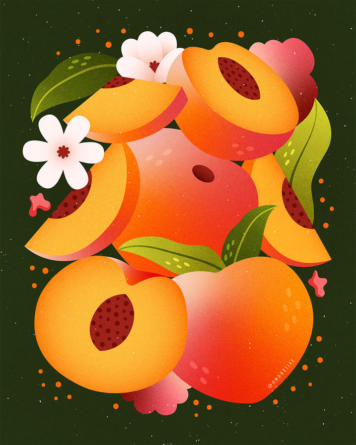 Peach fruit illustration 