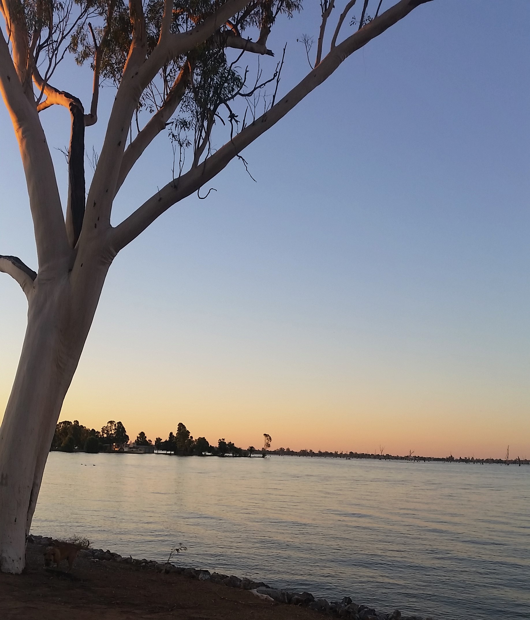 Yarrawonga Fairways Yarrawonga Holiday house for rent