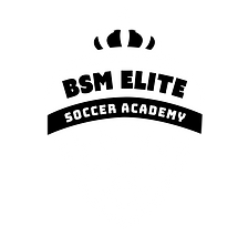 BSM Elite Logo-02.png