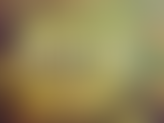 Gratitude word cloud