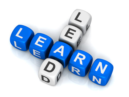 If Your Team Isn’t Learning, You’re Not Leading
