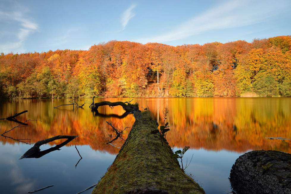 Der berühmte Herthasee im Nationalpark Jasmund in wundervollen Herbstfarben.