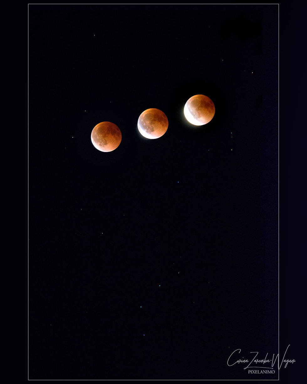 Bild der Mondfinsternis 2025