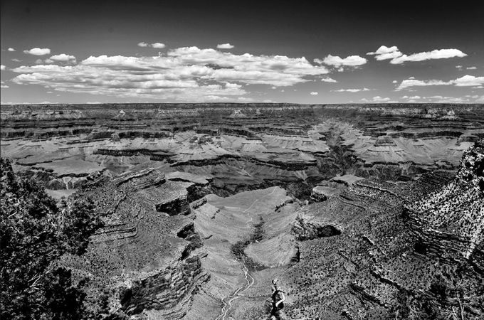 87196BF3-E590-4B3E-987A-F49FFFEC39C6_1_201_a.jpeg