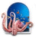 Octopus In Window.jpg